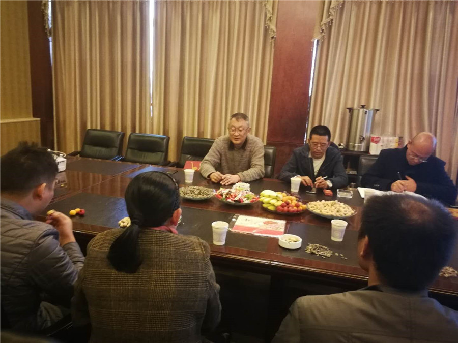 esball(中国区)官方网站